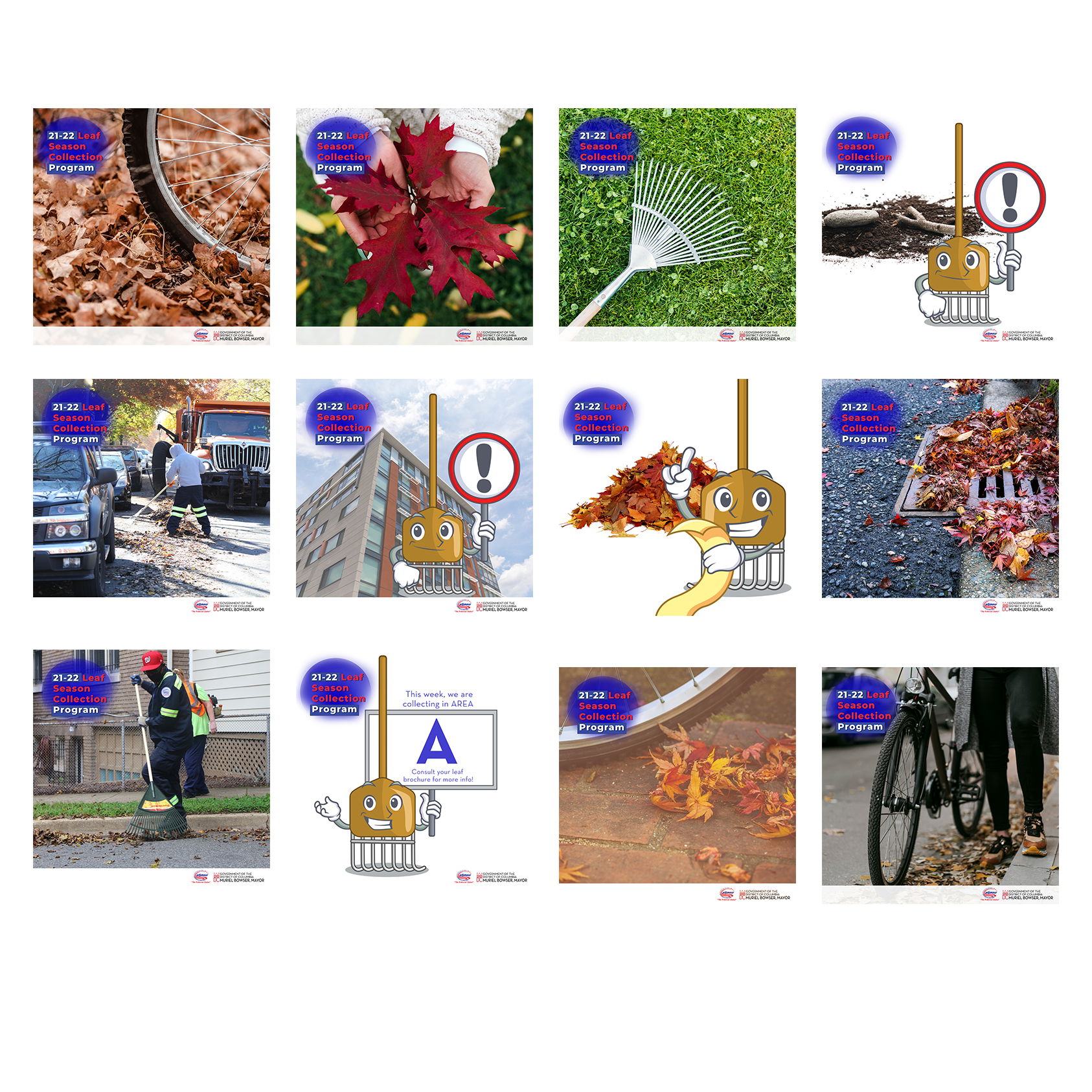 leaf3